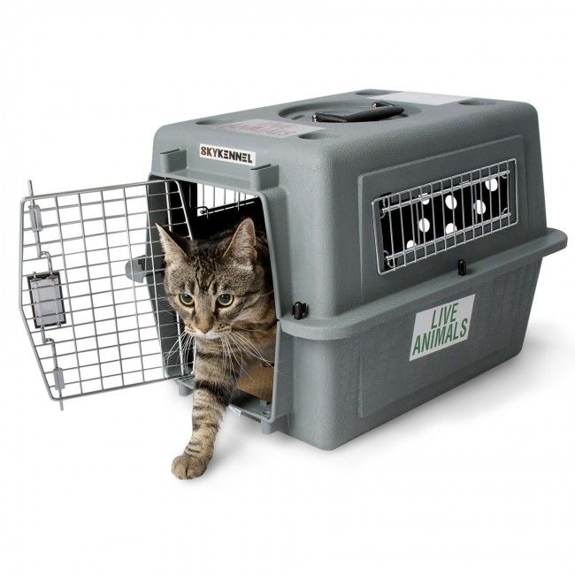 Petmate Sky Kennel Dog Crate