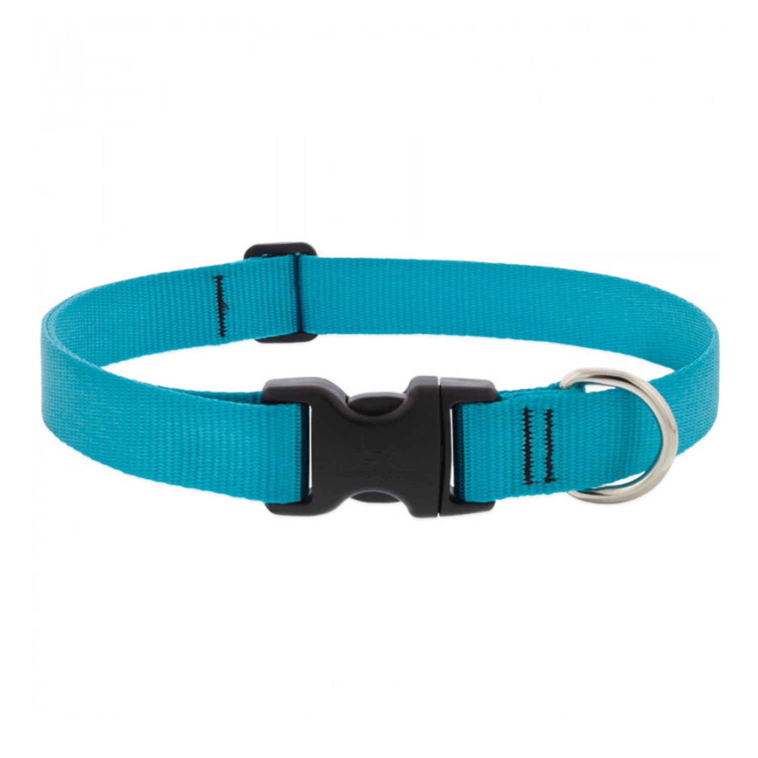 BASICS Adjustable Collar AQUA 1″ FOR LARGE DOGS