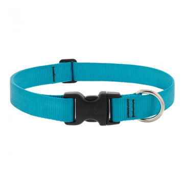 BASICS Adjustable Collar AQUA 1″ FOR LARGE DOGS