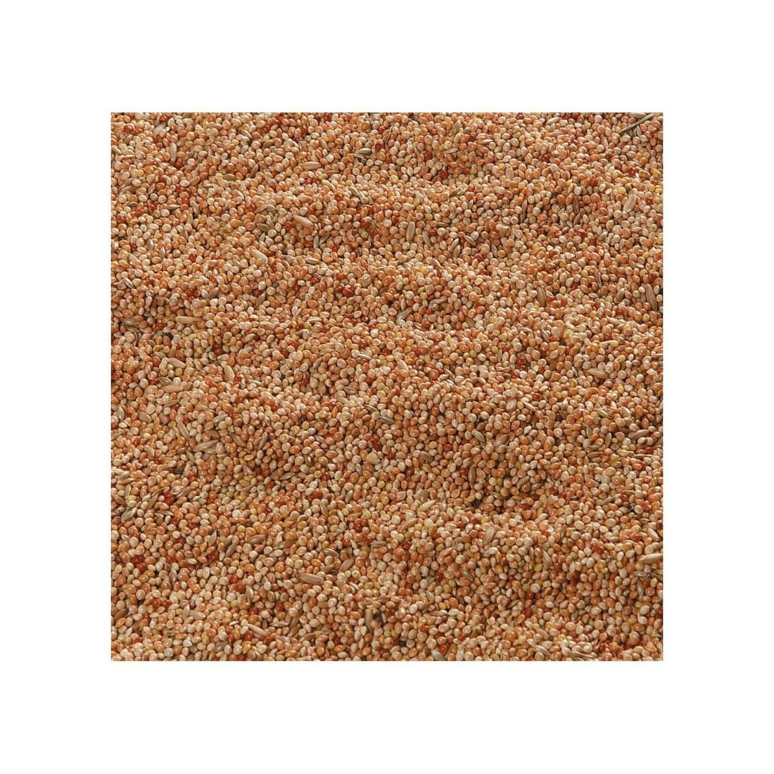 Flamingo Parakeet Bird Food 1kg
