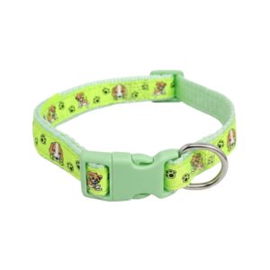 Cozy Paws Pet Collar - Medium Green