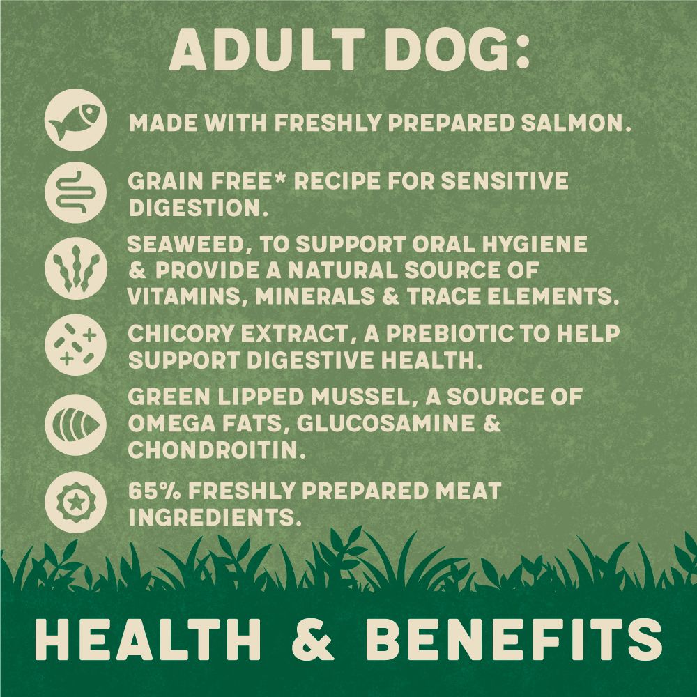 Harringtons Salmon Grain Free Adult Wet Dog Food 400g