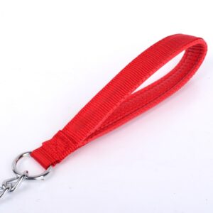 For Pet Dog Lead Chain With Pu Handle & Collar - Large (Mixed Colors)