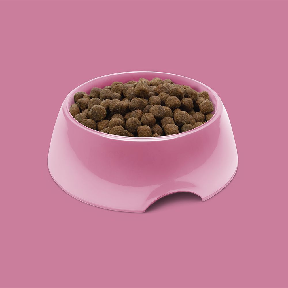 Symply Fresh Turkey All Adult Breeds Dry Dog Food