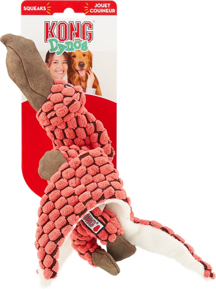 Kong Dynos Pterodactyl Coral Dog Toy