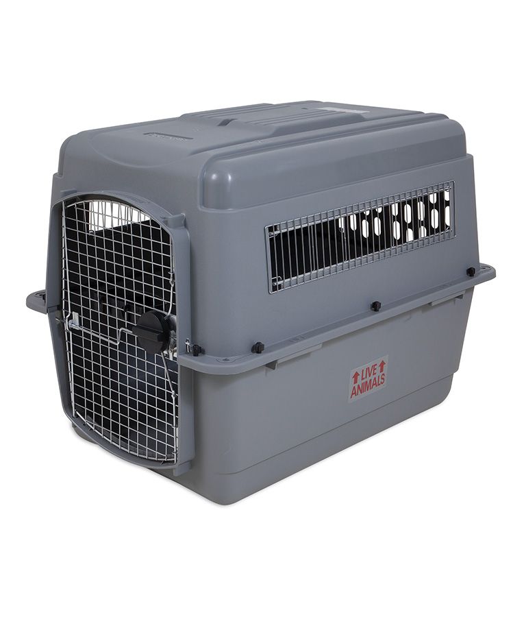 Petmate Sky Kennel Dog Crate