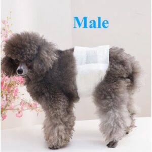 Pakeway Male Dog Pet Diaper - Extra Large