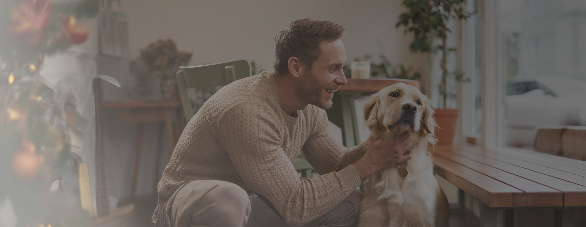 slider image slider_item_DNBnQt