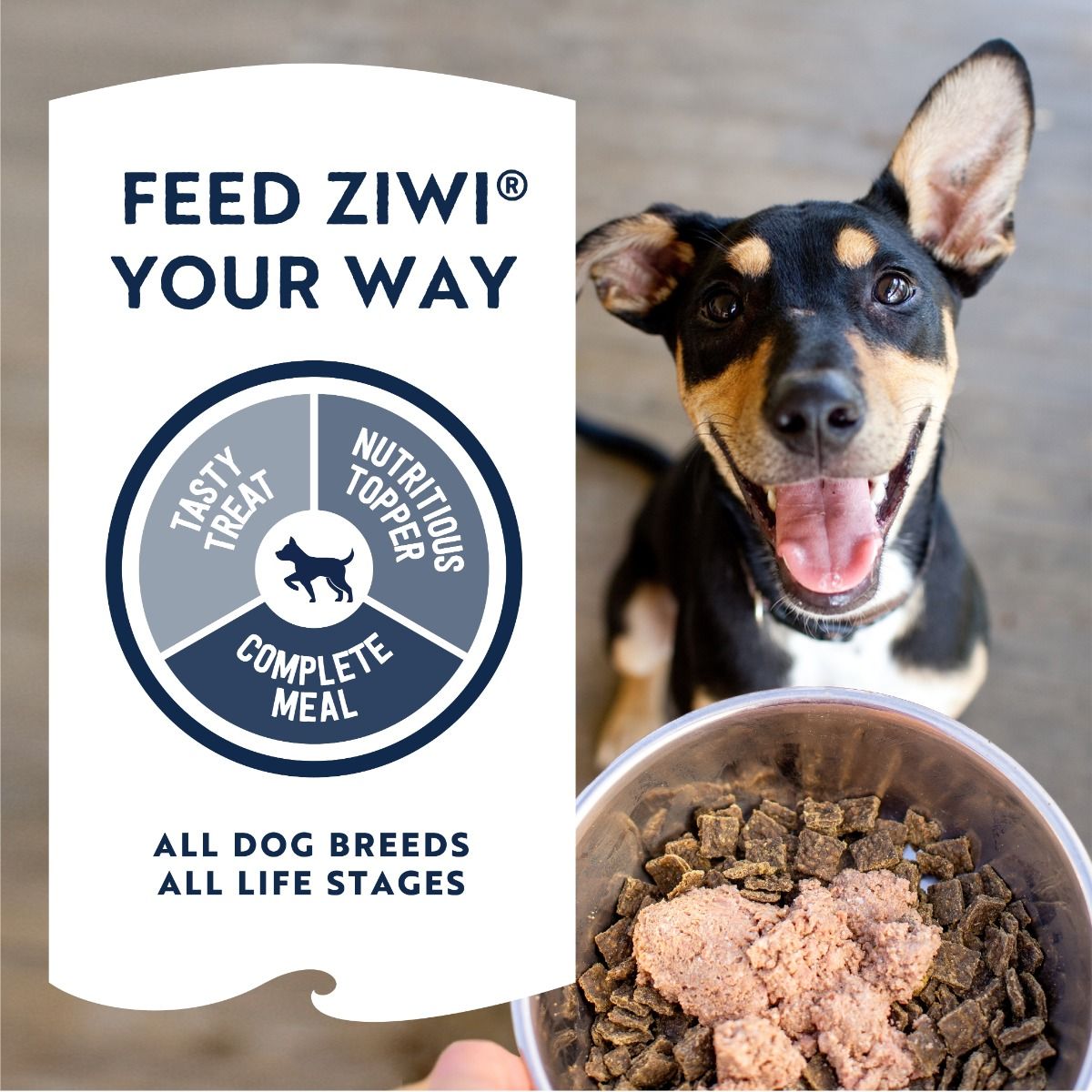 ZIWI Peak Beef Recipe Wet Dog Food