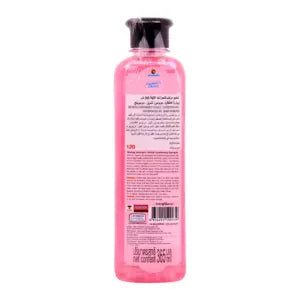 Bearing Groomer Choice Conditioning Shampoo For Dogs Baby Powder-365 ml