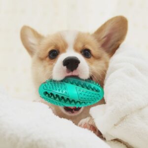 For Pet Rubber Dog Chew Toy