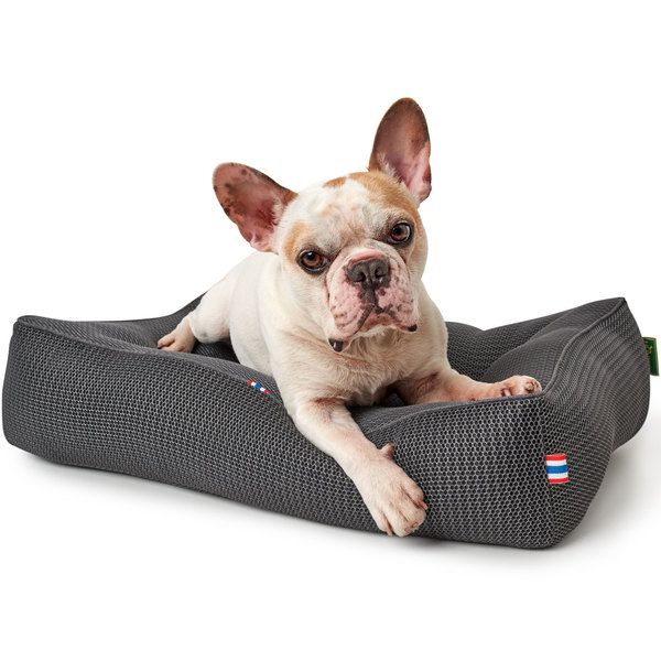 Hunter Quilted Toronto Dog Bed