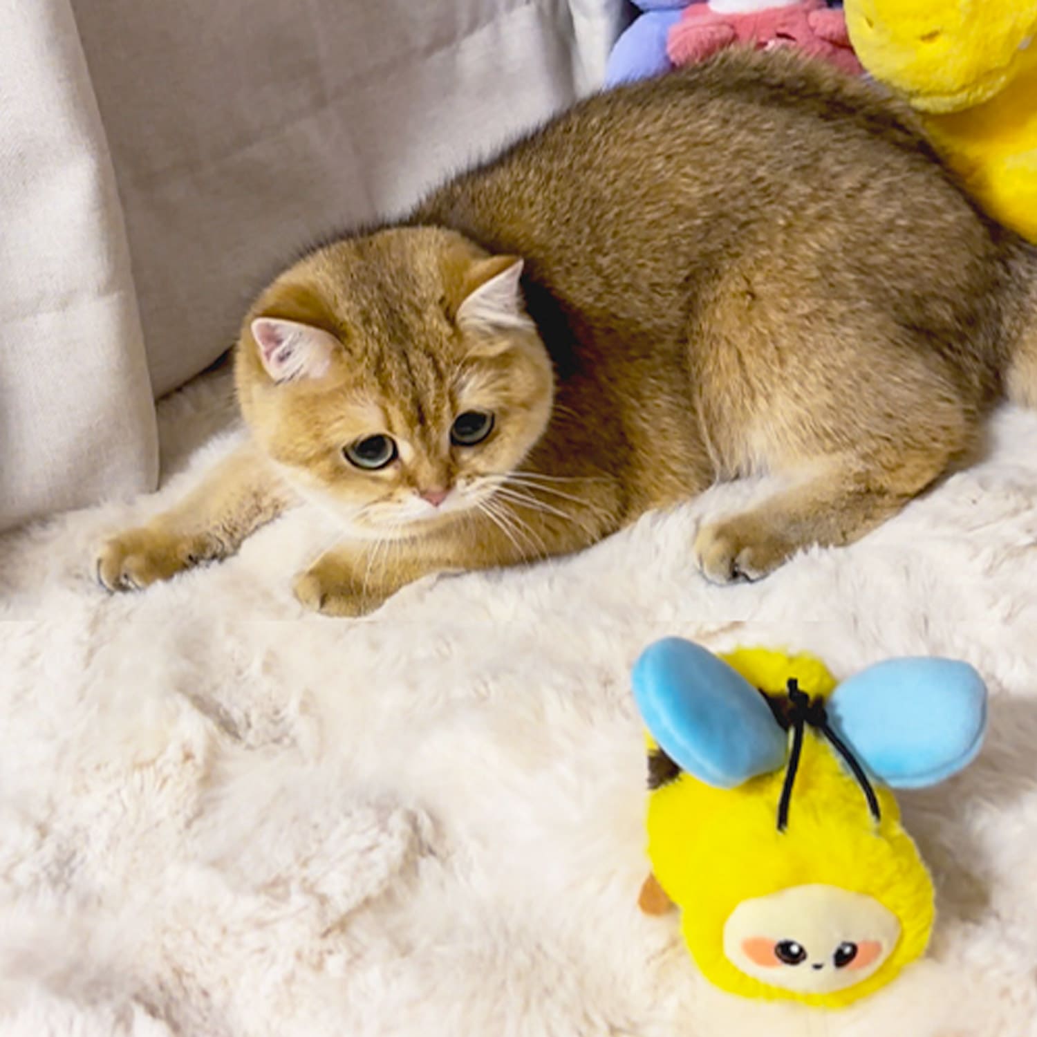 GiGwi Dance & Chirp Flapping Bee