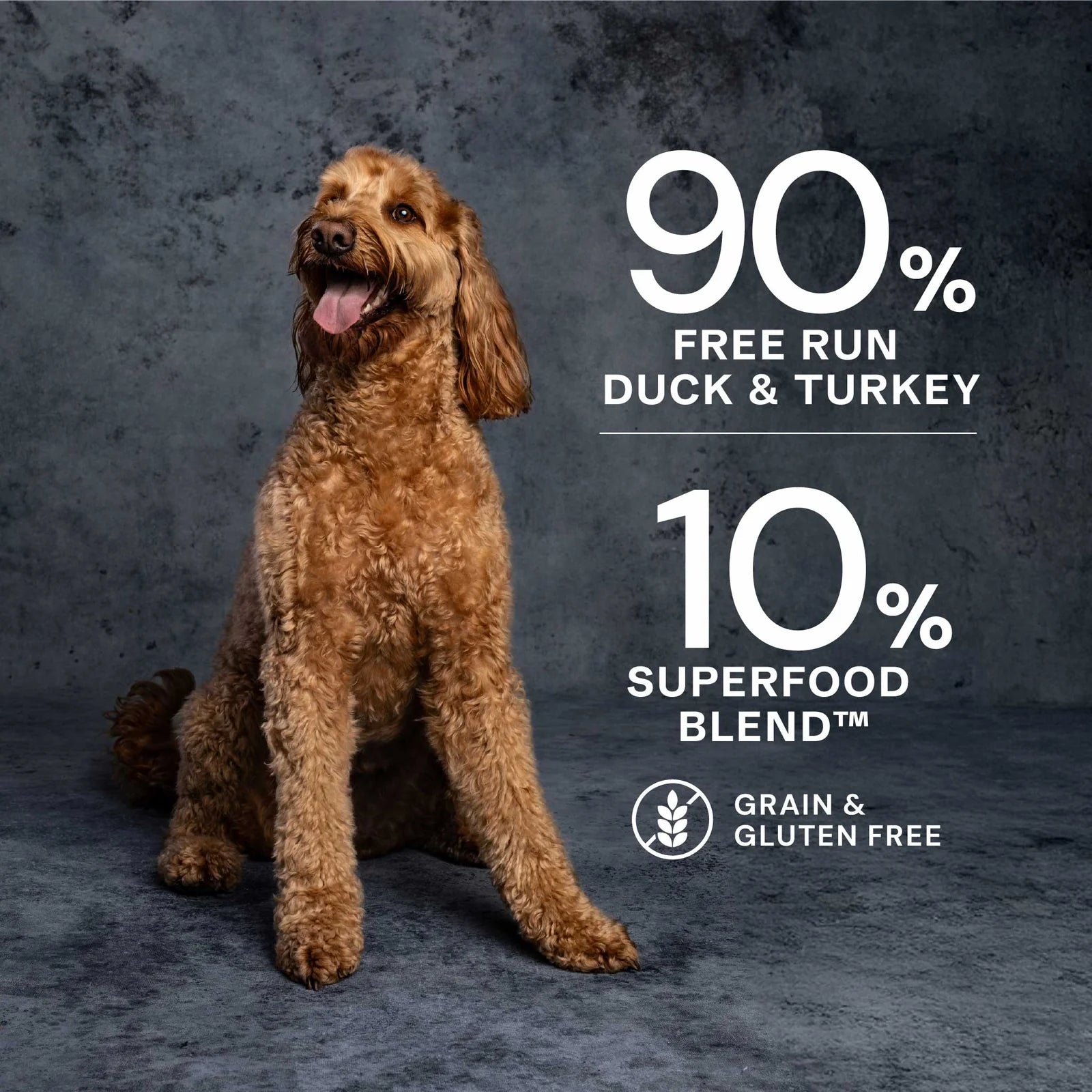 AATU Duck & Turkey Wet Dog Food 400g