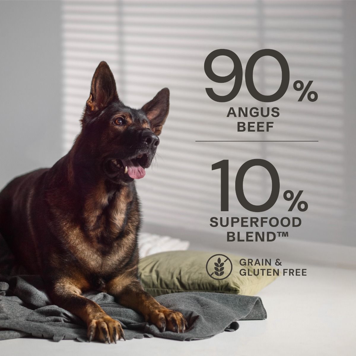 AATU Angus Beef Wet Dog Food 400g