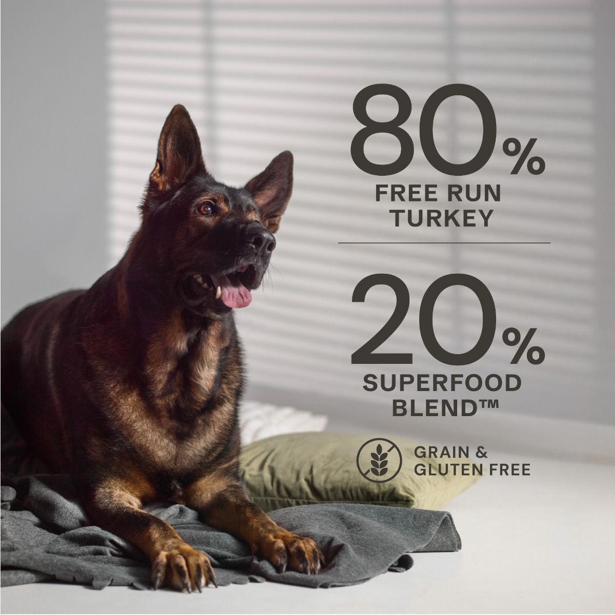 AATU Free Run Turkey Dry Dog Food
