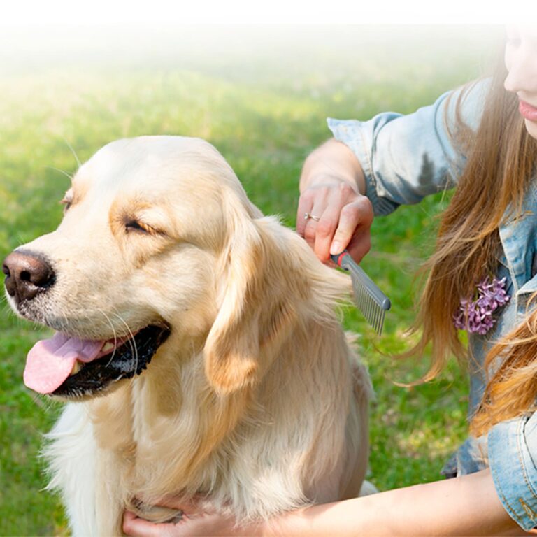 GiGwi Regular Comb for Dogs and Cats