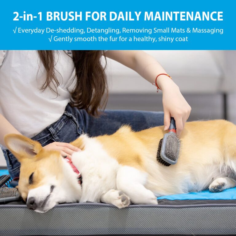 GiGwi Double-Sided Brush Nylon Bristles & Pins for Dogs and Cats