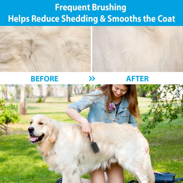 GiGwi Double-Sided Brush Nylon Bristles & Pins for Dogs and Cats