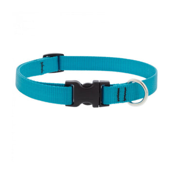BASICS Adjustable Collar AQUA 3/4″ FOR MEDIUM DOGS