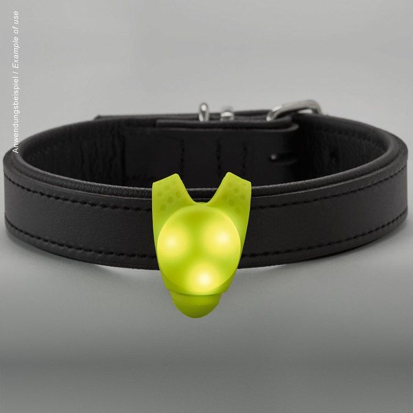 Hunter LED Silicon Dog Blinker