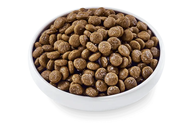 Applaws Taste Toppers Beef Bone Broth with Turmeric & Parsley Wet Dog Food Pouch