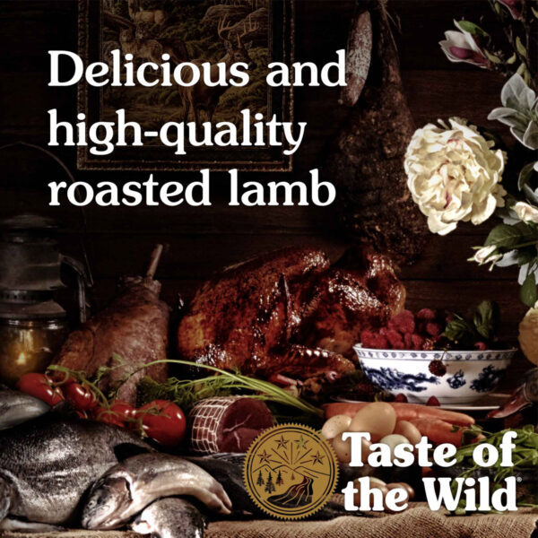 Taste of the Wild: Ancient Mountain Canine Recipe