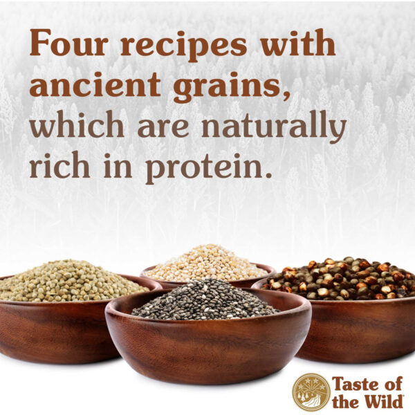 Taste of the Wild: Ancient Mountain Canine Recipe