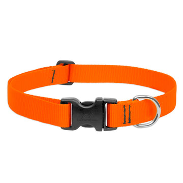 BASICS Adjustable Collar ORANGE 1/2″ FOR SMALL DOGS