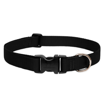 BASICS Adjustable Collar BLACK 1/2″ FOR SMALL DOGS