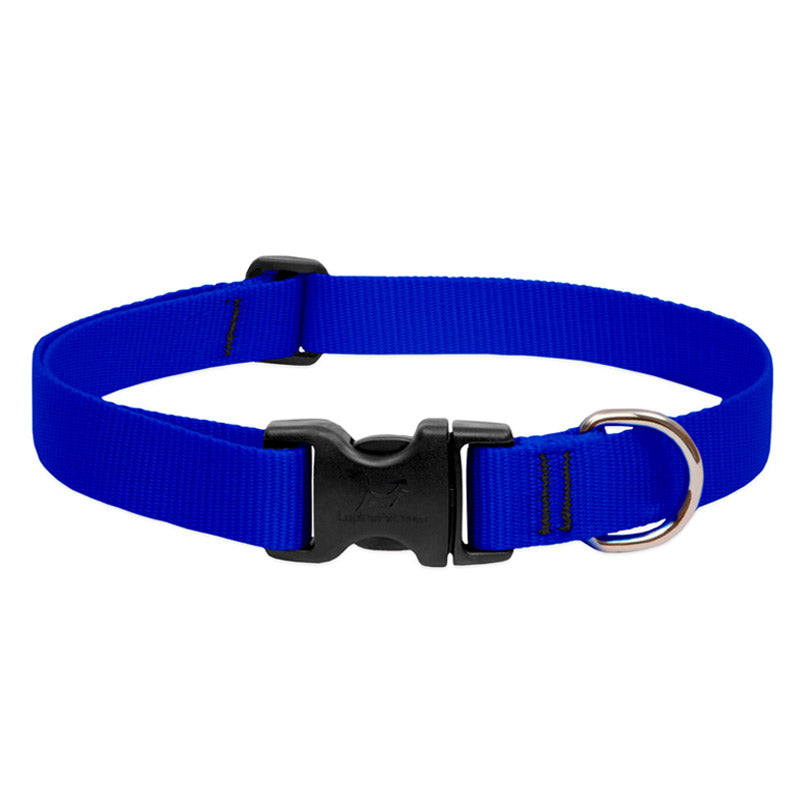 BASICS Adjustable Collar BLUE 1″ FOR LARGE DOGS