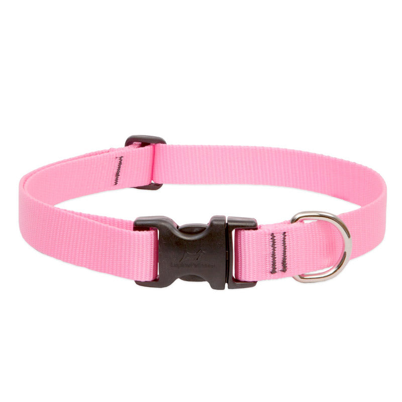 BASICS Adjustable Collar PINK 3/4″ FOR MEDIUM DOGS