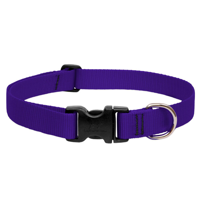 BASICS Adjustable Collar PURPLE 3/4″ FOR MEDIUM DOGS