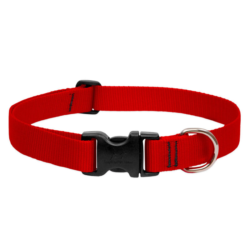 BASICS Adjustable Collar RED 1/2″ FOR SMALL DOGS