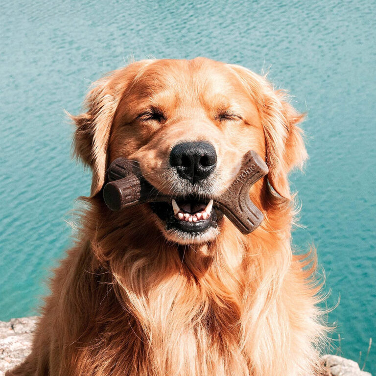 Benebone Bacon Stick Dog Chew Toy