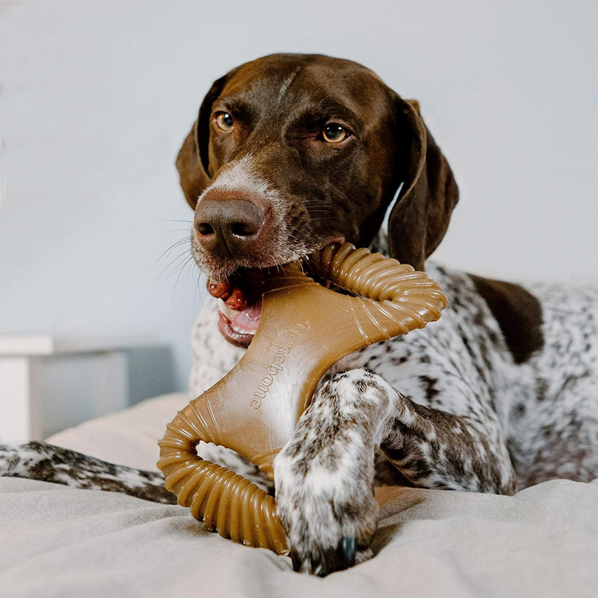 Benebone Dental Dog Chew Toy – Bacon