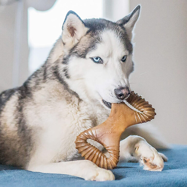 Benebone Dental Dog Chew Toy – Bacon