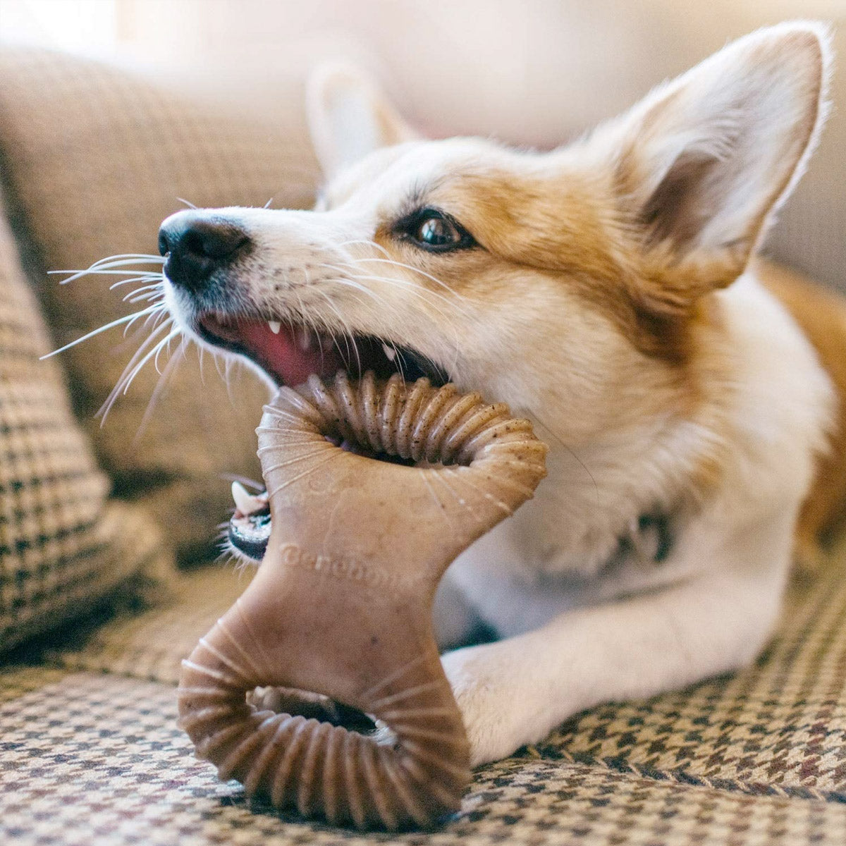 Benebone Dental Dog Chew Toy – Bacon