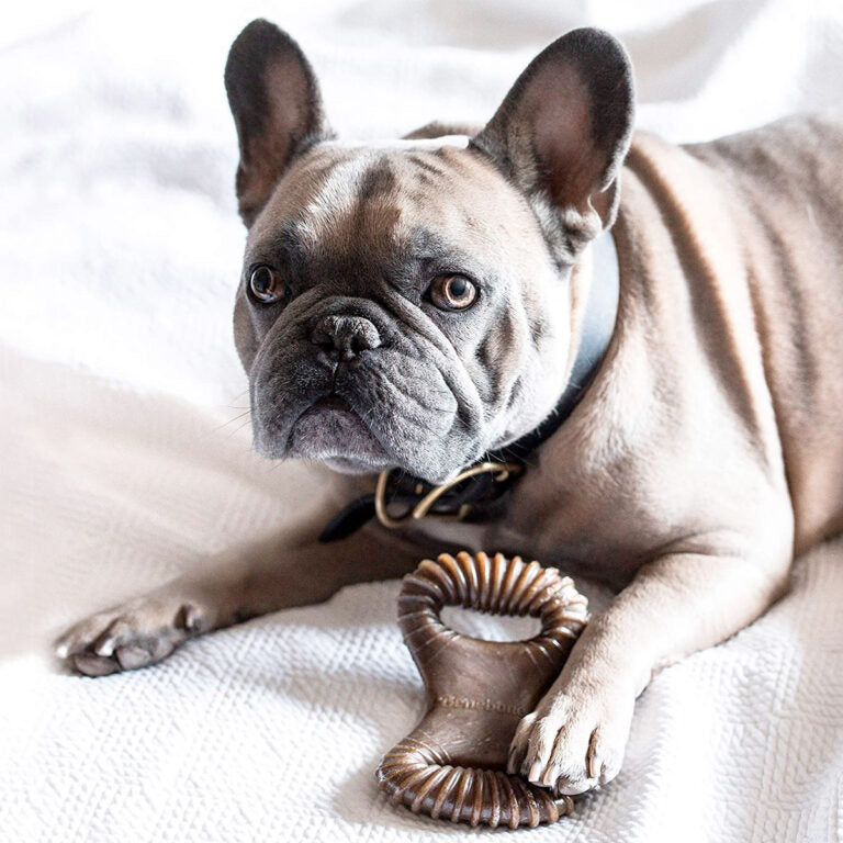 Benebone Dental Dog Chew Toy – Peanut