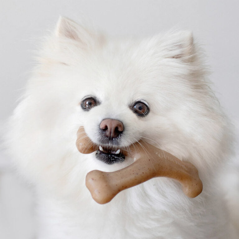 Benebone Wishbone Dog Chew Toy – Bacon