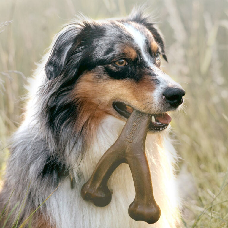 Benebone Wishbone Dog Chew Toy – Bacon