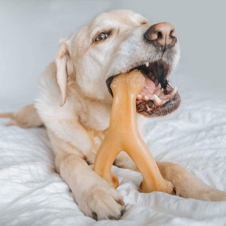 Benebone Wishbone Dog Chew Toy – Chicken