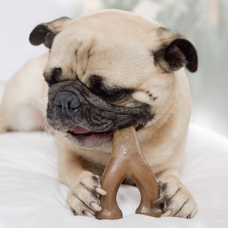 Benebone Wishbone Dog Chew Toy – Peanut
