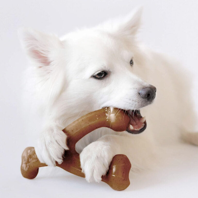 Benebone Wishbone Dog Chew Toy – Peanut