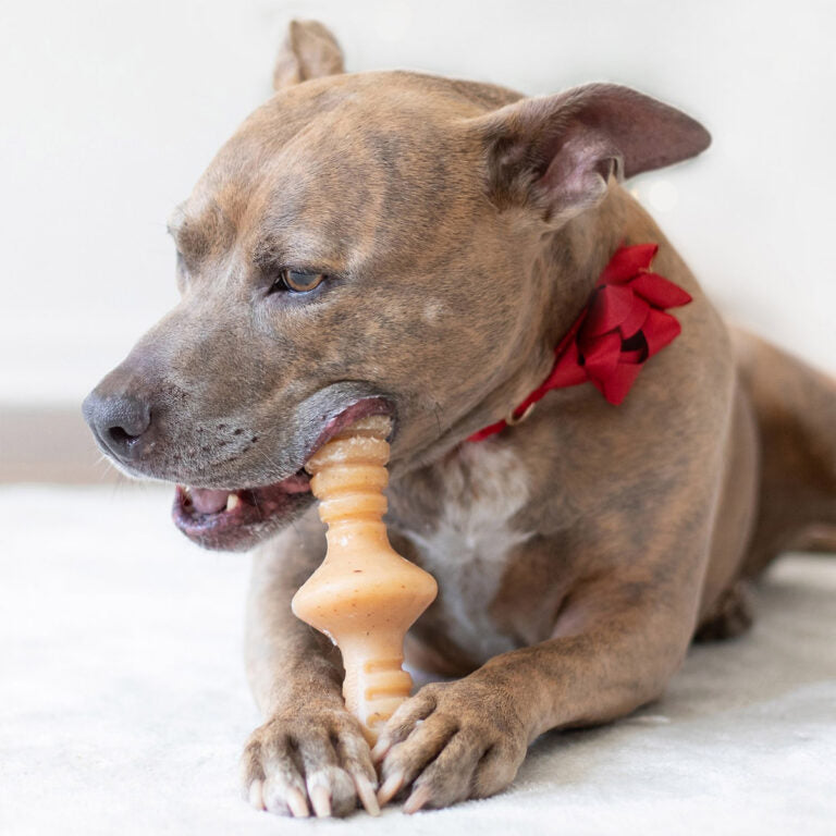 Benebone Zaggler Dog Chew Toy – Chicken