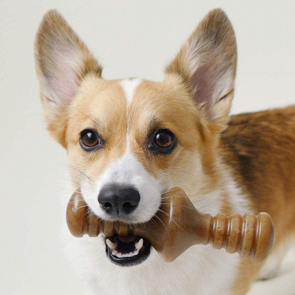 Benebone Zaggler Dog Chew Toy – Bacon