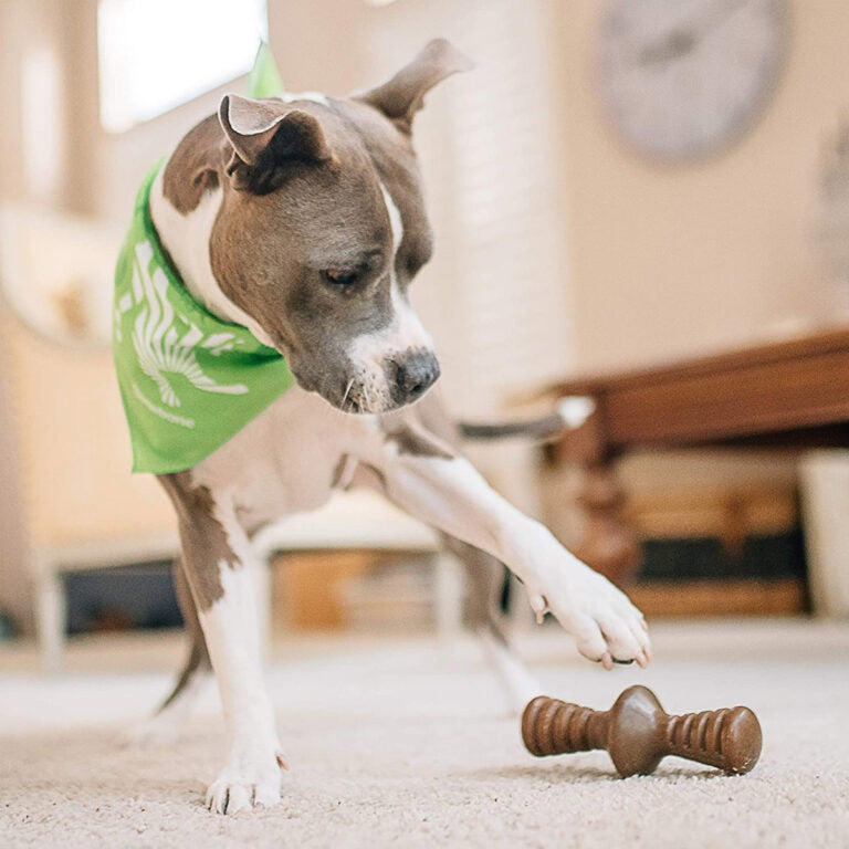 Benebone Zaggler Dog Chew Toy – Bacon