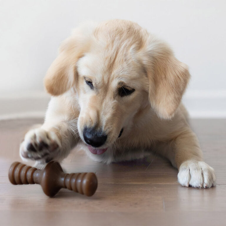 Benebone Zaggler Dog Chew Toy – Peanut