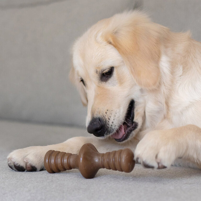 Benebone Zaggler Dog Chew Toy – Peanut