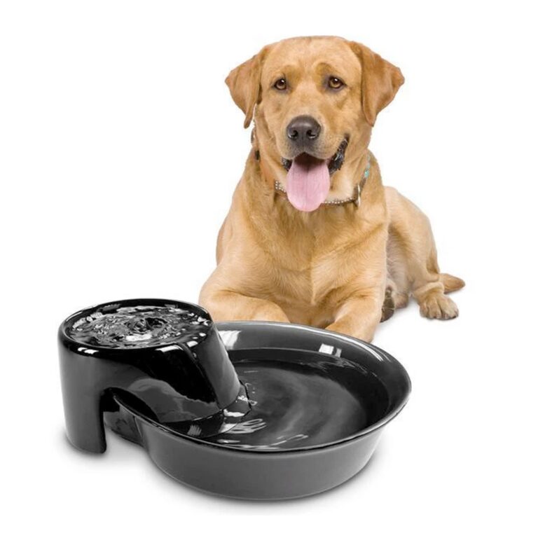 Pet Pioneer Big Max Ceramic Pet Drinking Fountain 128oz (Black)